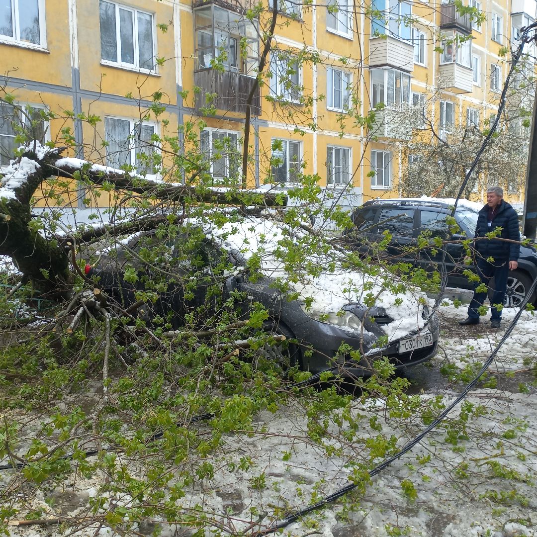 сергиев посад, чп, снегопад, скандинавский циклон, мособлэнерго, мособлпожспас,