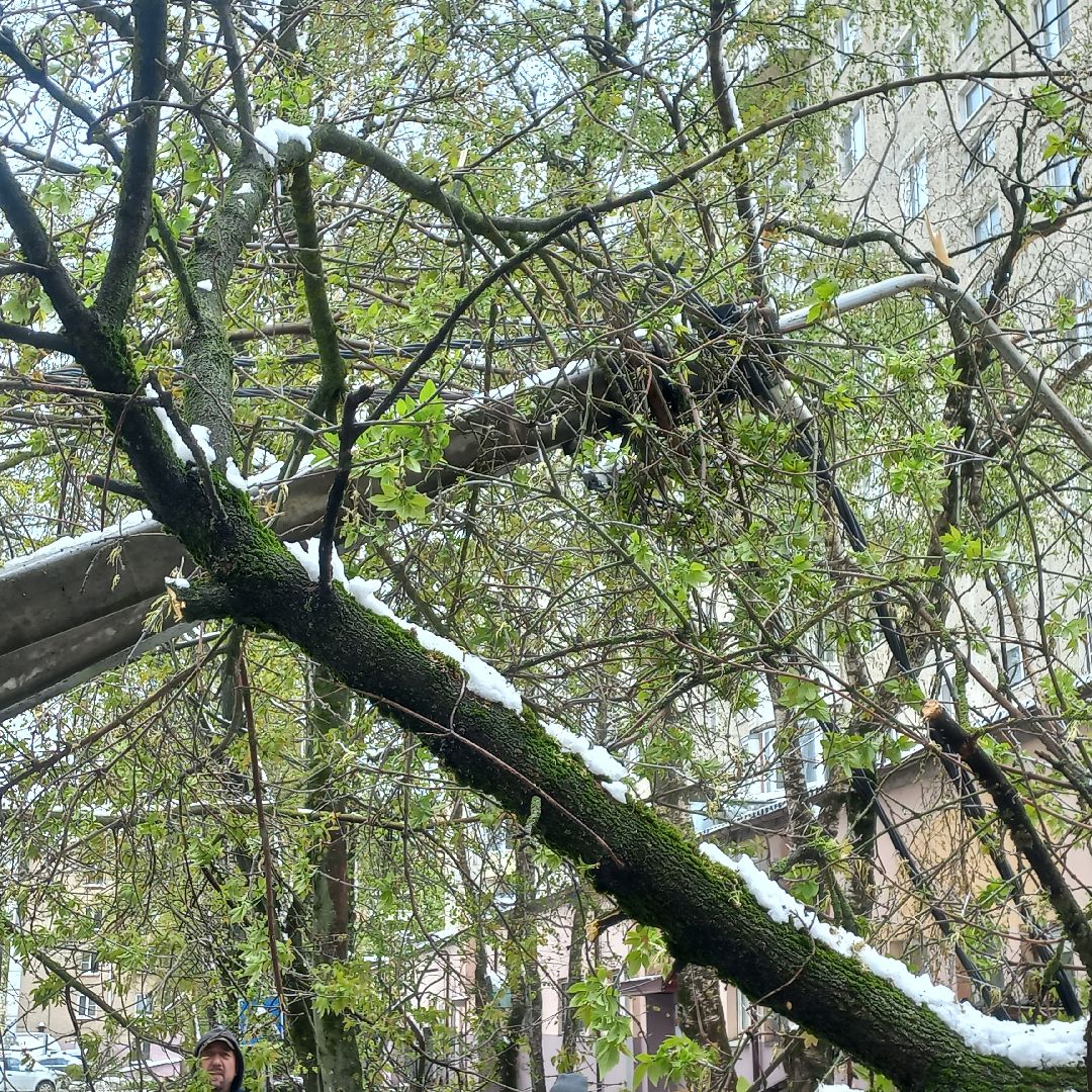 сергиев посад, чп, снегопад, скандинавский циклон, мособлэнерго, мособлпожспас,