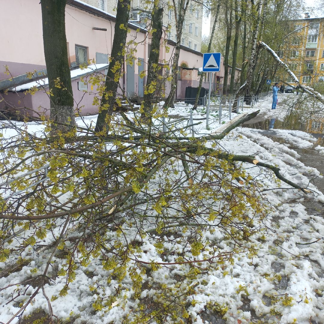сергиев посад, чп, снегопад, скандинавский циклон, мособлэнерго, мособлпожспас,