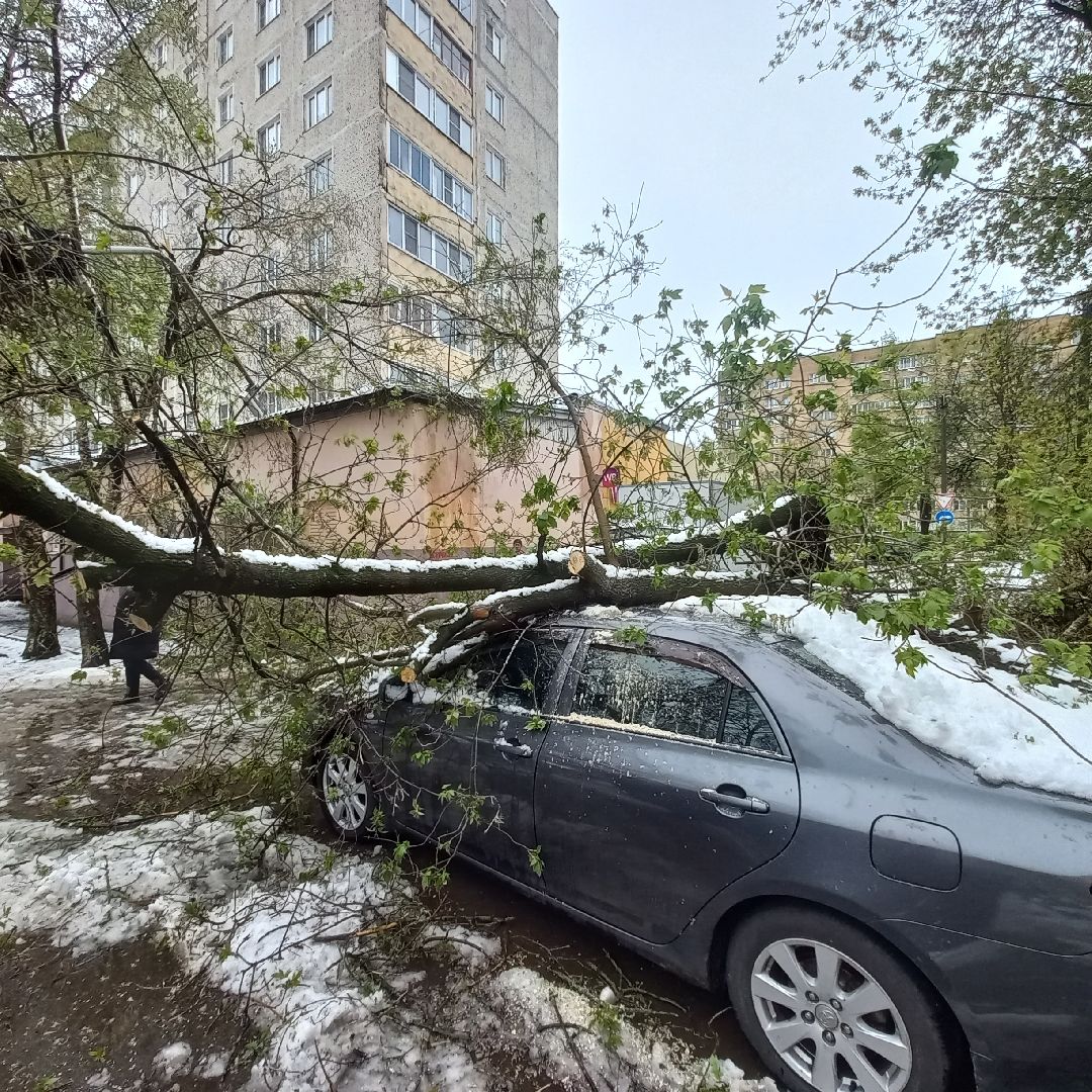 сергиев посад, чп, снегопад, скандинавский циклон, мособлэнерго, мособлпожспас,