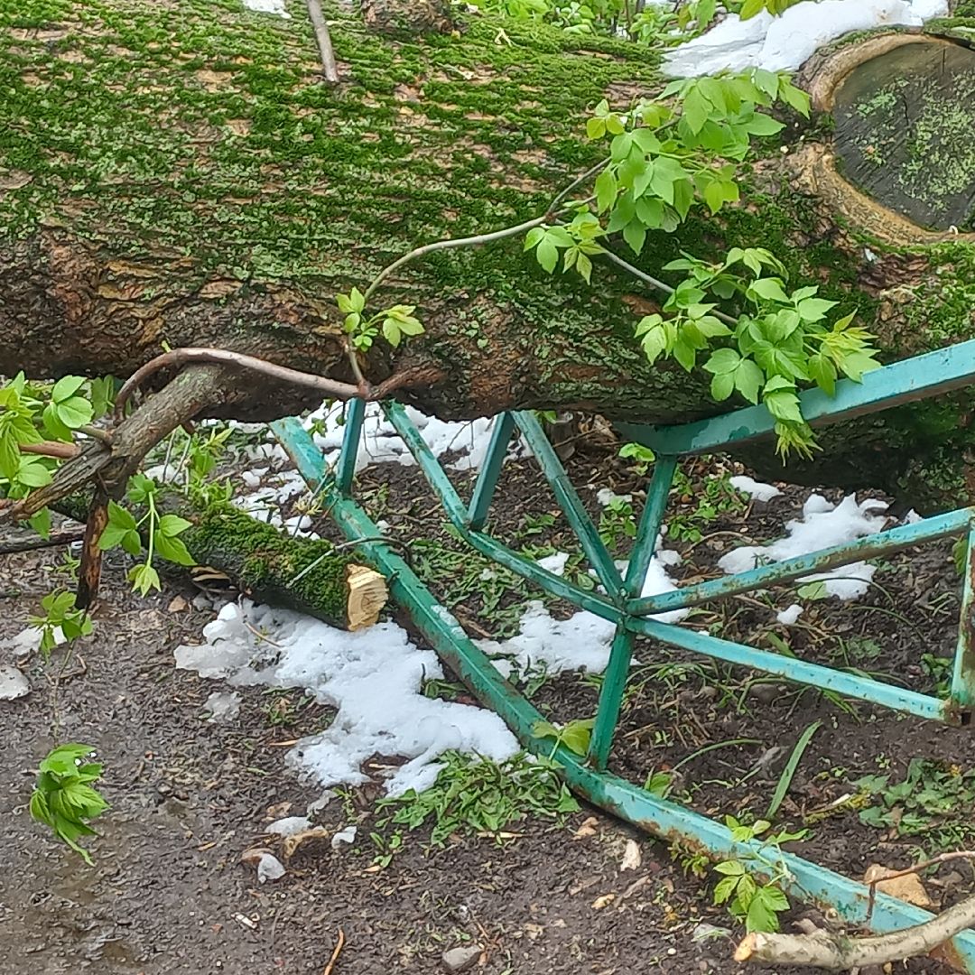 сергиев посад, чп, снегопад, скандинавский циклон, мособлэнерго, мособлпожспас,