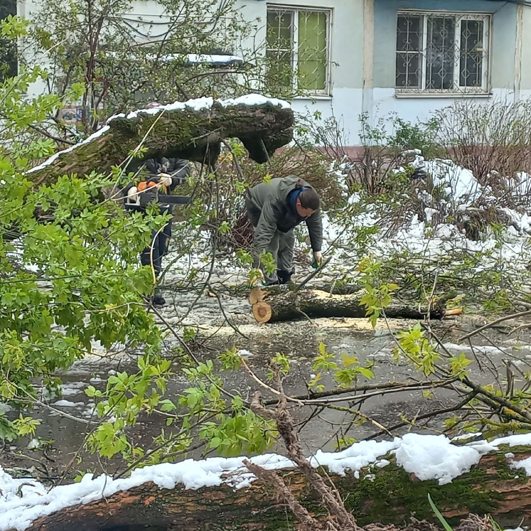 сергиев посад, чп, снегопад, скандинавский циклон, мособлэнерго, мособлпожспас,