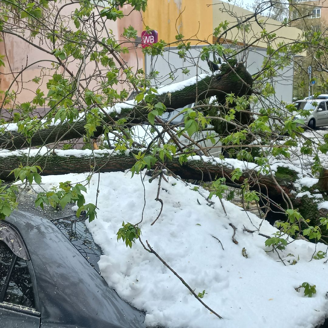сергиев посад, чп, снегопад, скандинавский циклон, мособлэнерго, мособлпожспас,