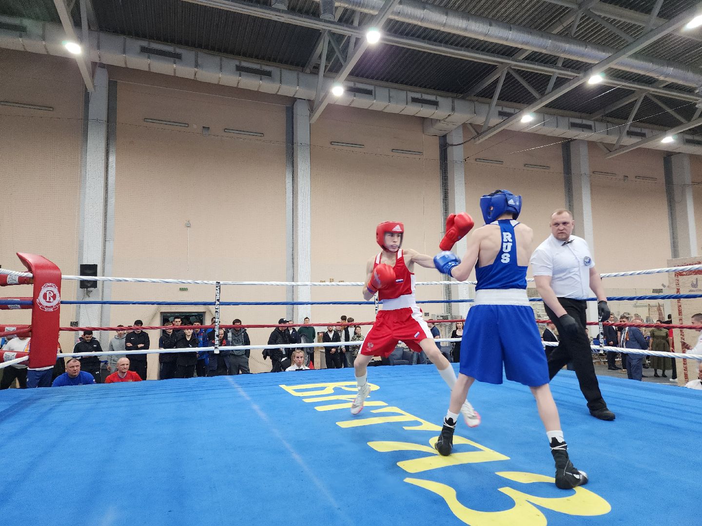 Чехов, дворец спорта олимпийский, первенство России по боксу, юниоры и юниорки, разные весовые категории, соревнования, состязания, 17-18 лет, Денис Лебедев, Александр Поветкин,