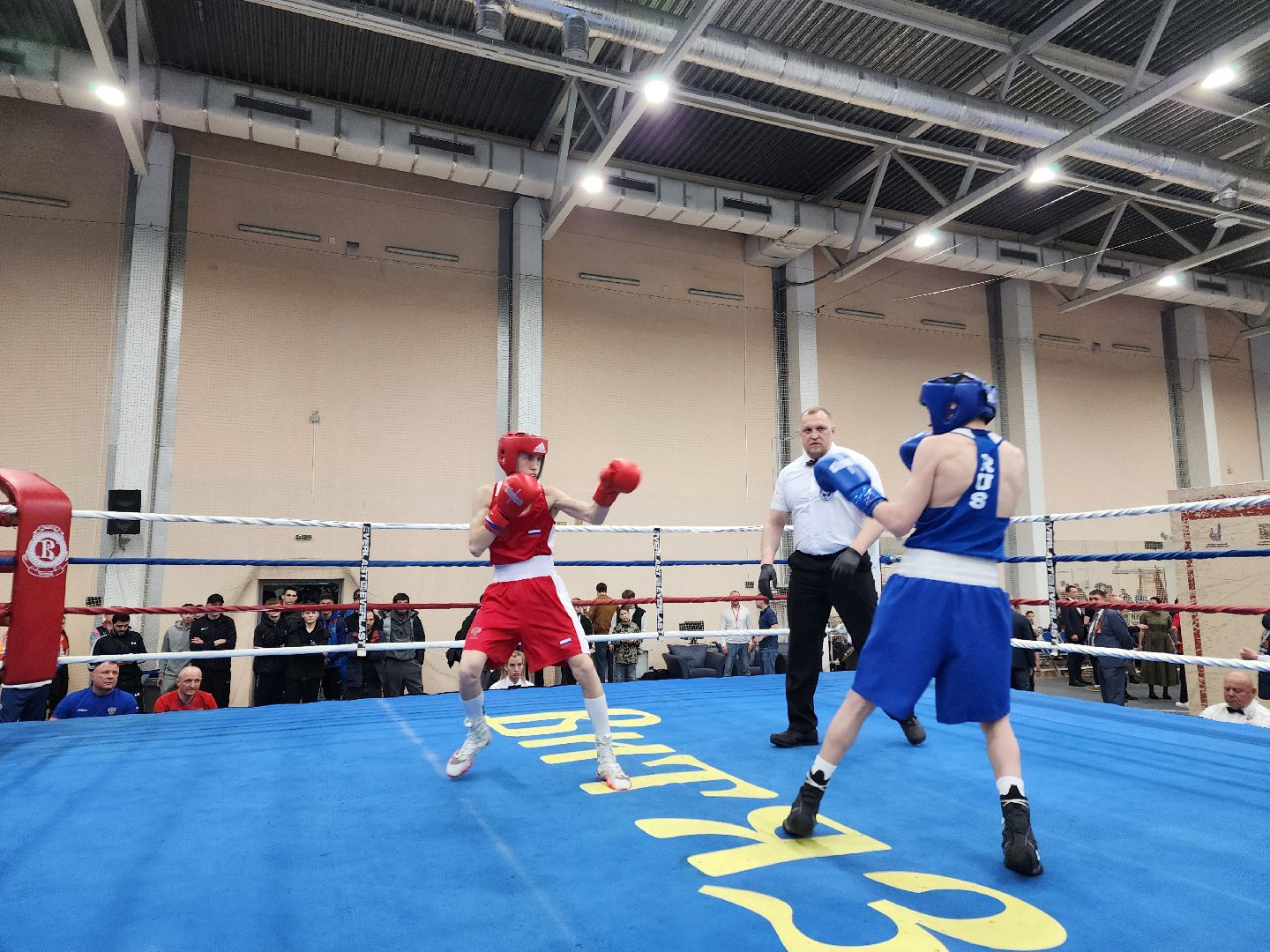 Чехов, дворец спорта олимпийский, первенство России по боксу, юниоры и юниорки, разные весовые категории, соревнования, состязания, 17-18 лет, Денис Лебедев, Александр Поветкин,