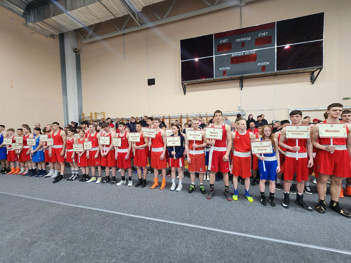 Чехов, дворец спорта олимпийский, первенство России по боксу, юниоры и юниорки, разные весовые категории, соревнования, состязания, 17-18 лет, Денис Лебедев, Александр Поветкин,