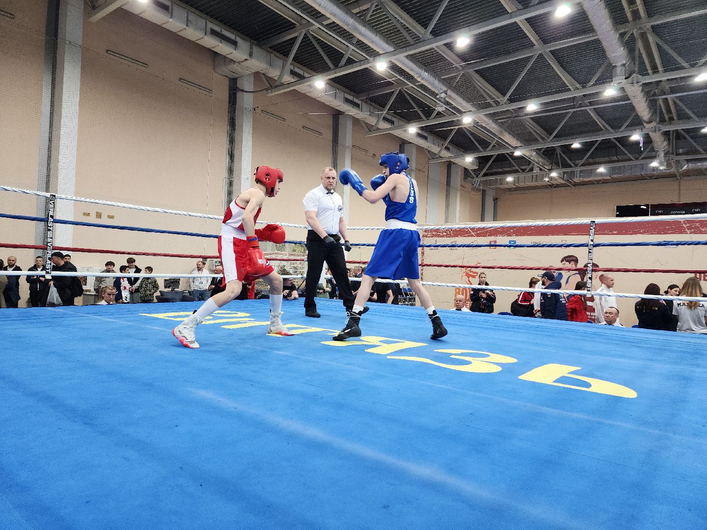 Чехов, дворец спорта олимпийский, первенство России по боксу, юниоры и юниорки, разные весовые категории, соревнования, состязания, 17-18 лет, Денис Лебедев, Александр Поветкин,