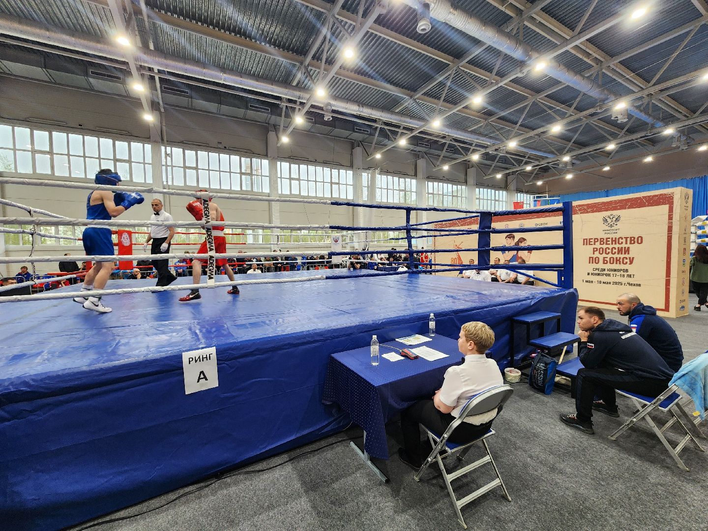 Чехов, дворец спорта олимпийский, первенство России по боксу, юниоры и юниорки, разные весовые категории, соревнования, состязания, 17-18 лет, Денис Лебедев, Александр Поветкин,