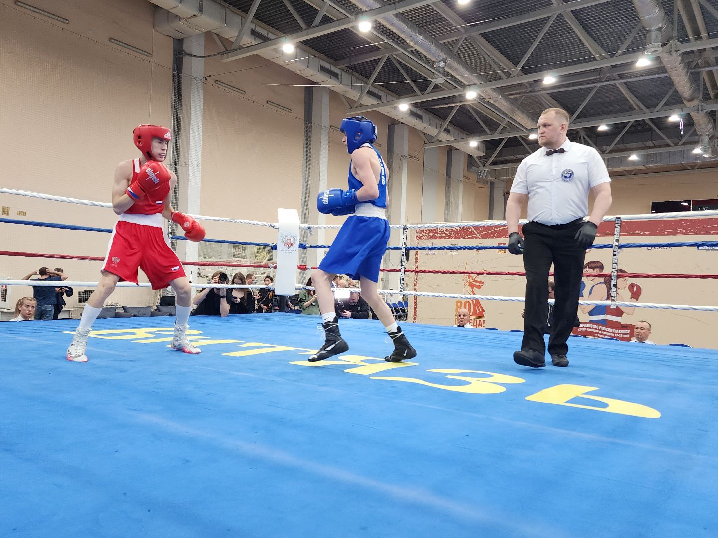 Чехов, дворец спорта олимпийский, первенство России по боксу, юниоры и юниорки, разные весовые категории, соревнования, состязания, 17-18 лет, Денис Лебедев, Александр Поветкин,