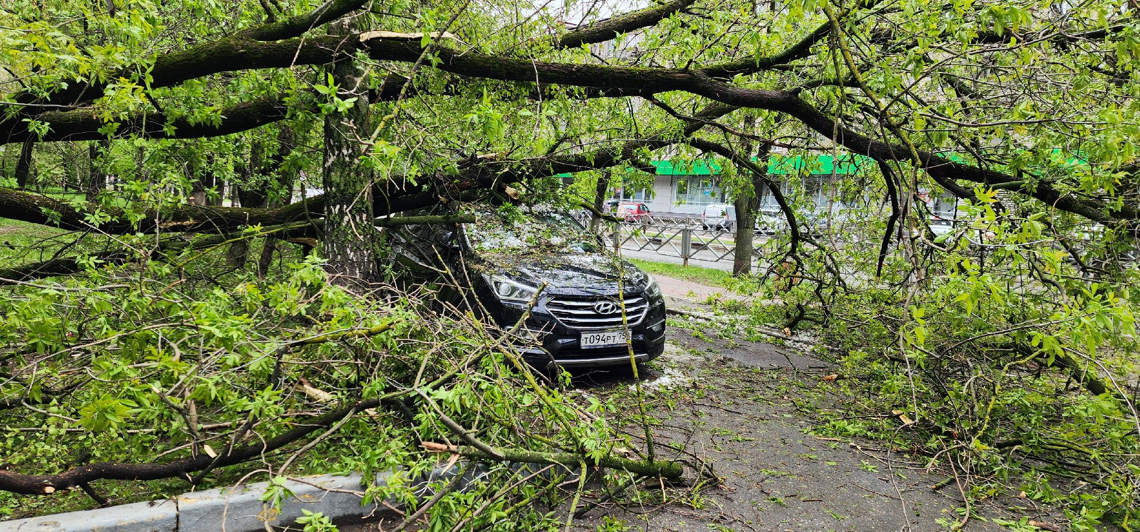 Химки, ЖКХ, Ураган, Происшествия,