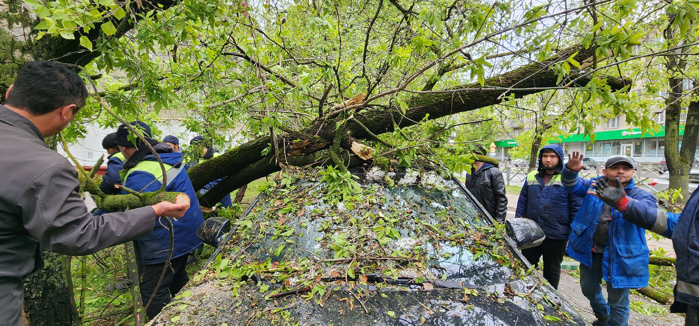Химки, ЖКХ, Ураган, Происшествия,