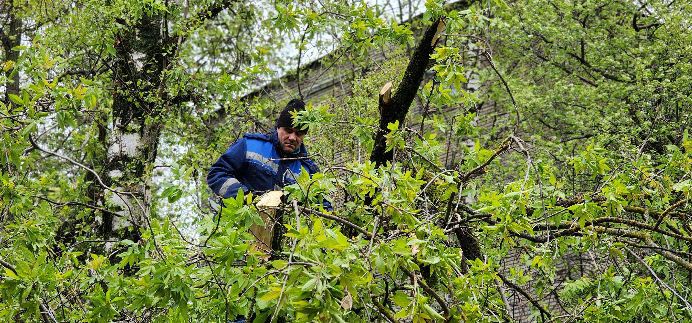 Химки, ЖКХ, Ураган, Происшествия,