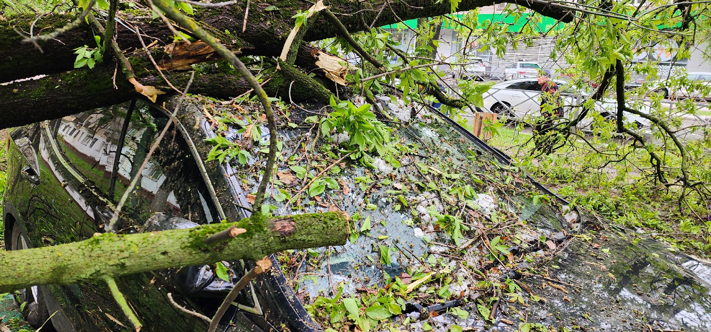 Химки, ЖКХ, Ураган, Происшествия,