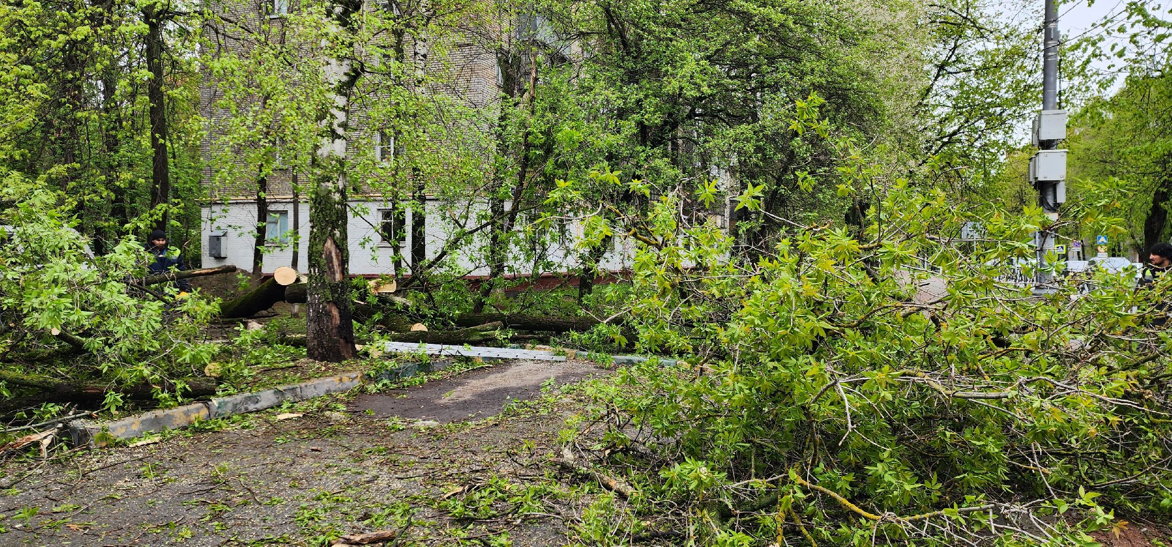 Химки, ЖКХ, Ураган, Происшествия,