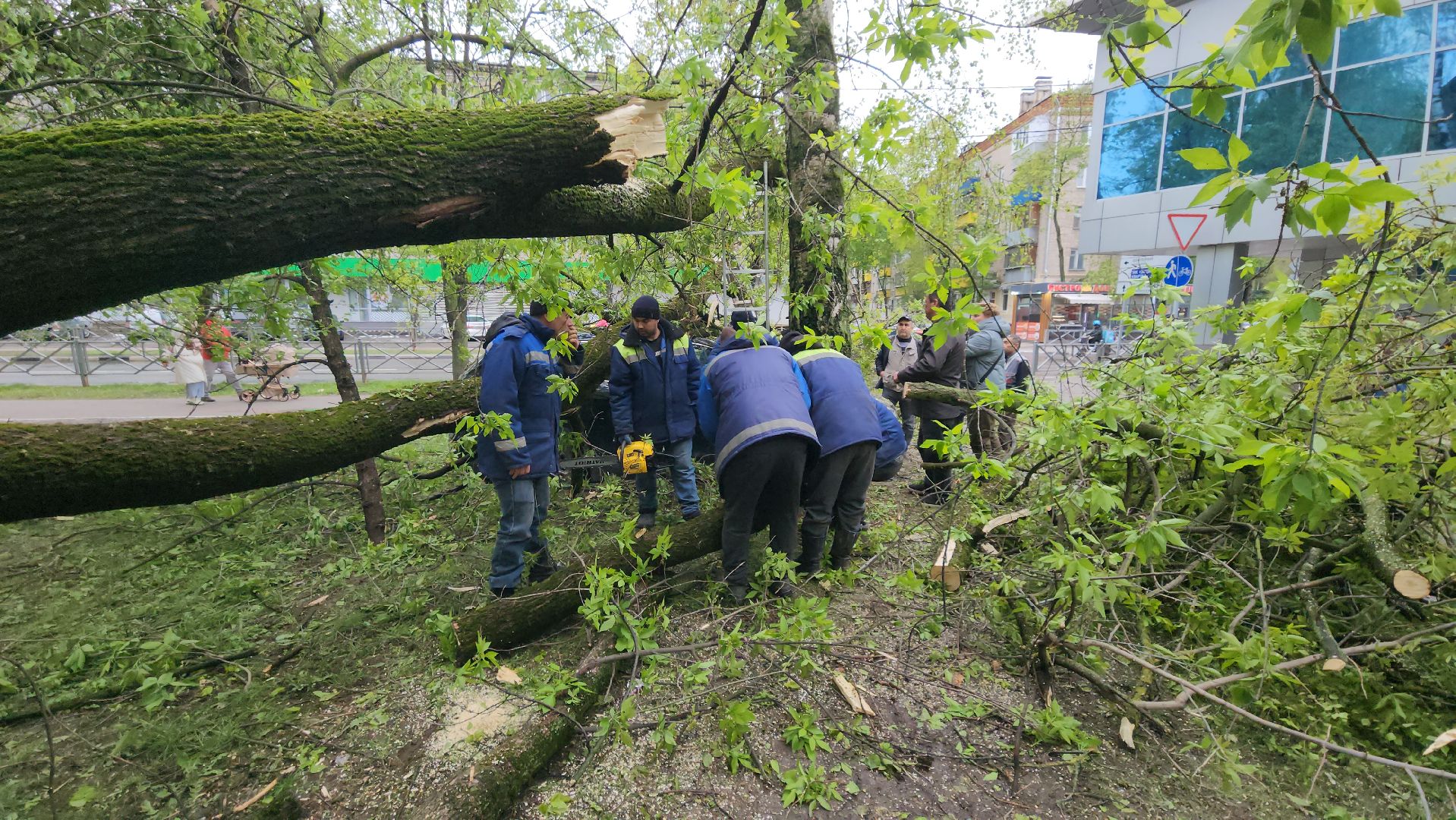 Химки, ЖКХ, Ураган, Происшествия,