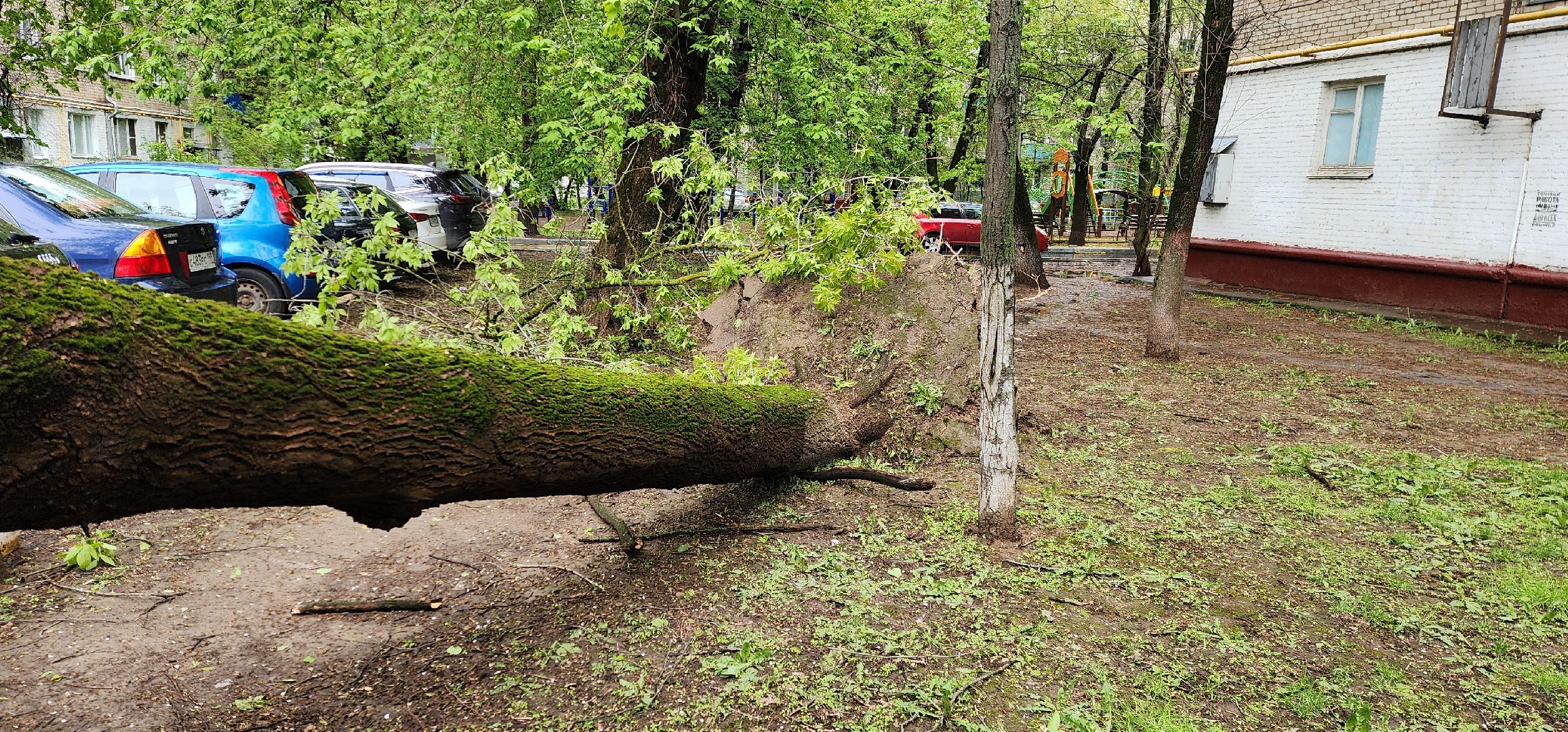 Химки, ЖКХ, Ураган, Происшествия,