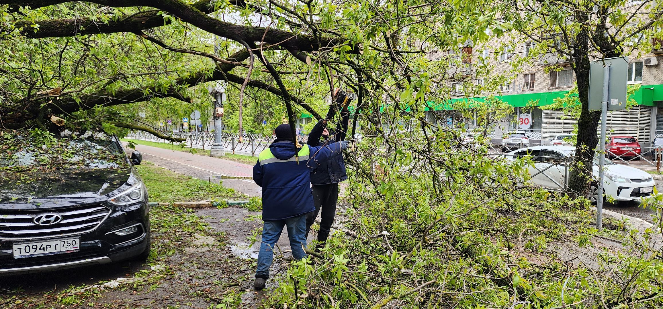 Химки, ЖКХ, Ураган, Происшествия,