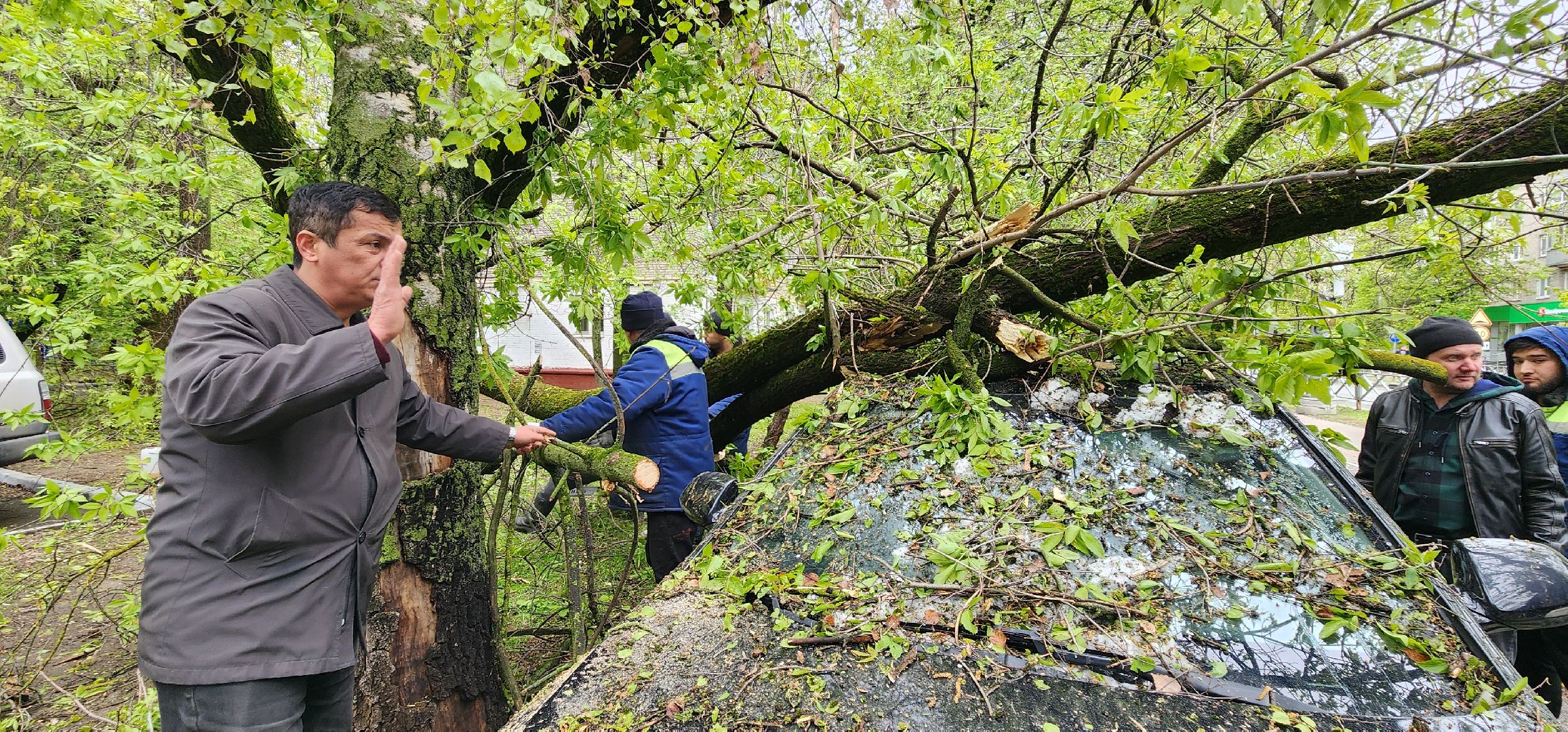 Химки, ЖКХ, Ураган, Происшествия,