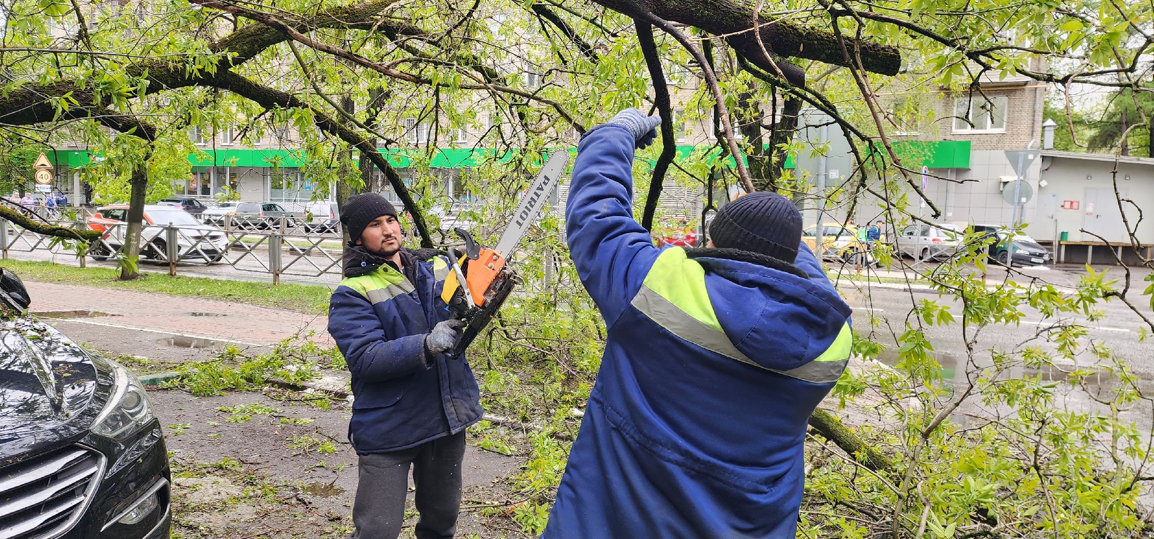 Химки, ЖКХ, Ураган, Происшествия,