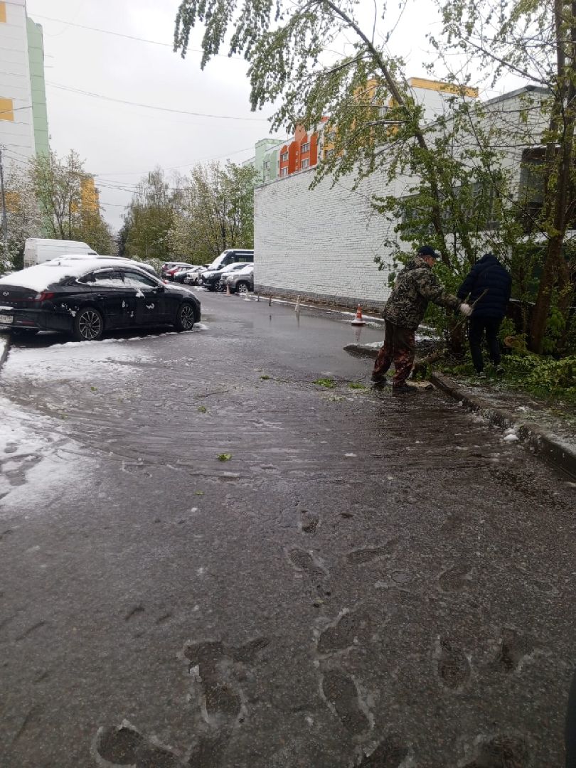 упало дерево, снег в мае,  стихия,  власиха коммунальные службы,