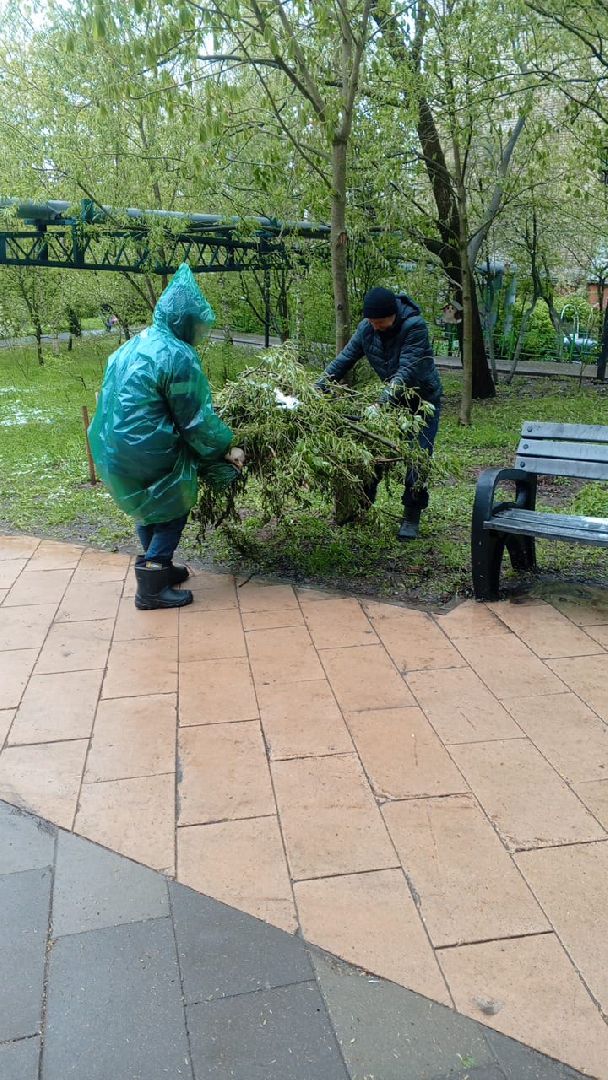 упало дерево, снег в мае,  стихия,  власиха коммунальные службы,