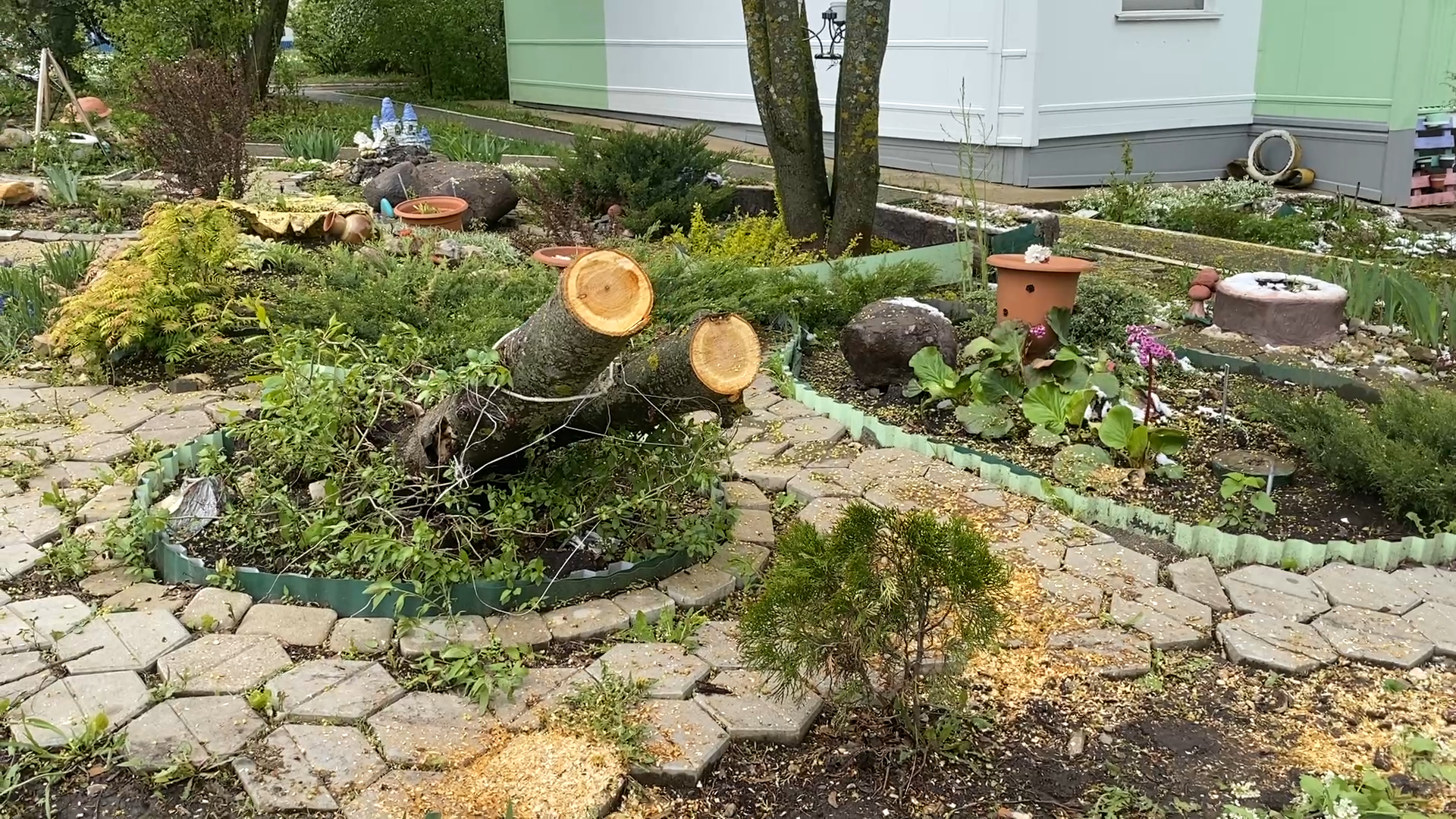 упало дерево, снег в мае,  стихия,  власиха коммунальные службы,