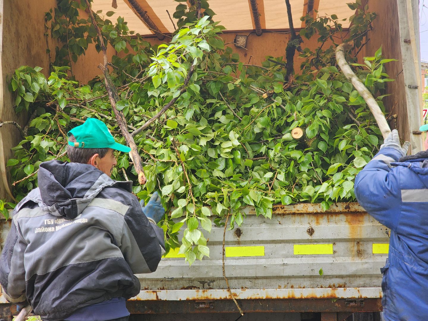 долгопрудный, снегопад, деревья, мбу благоустройство, первомайская,