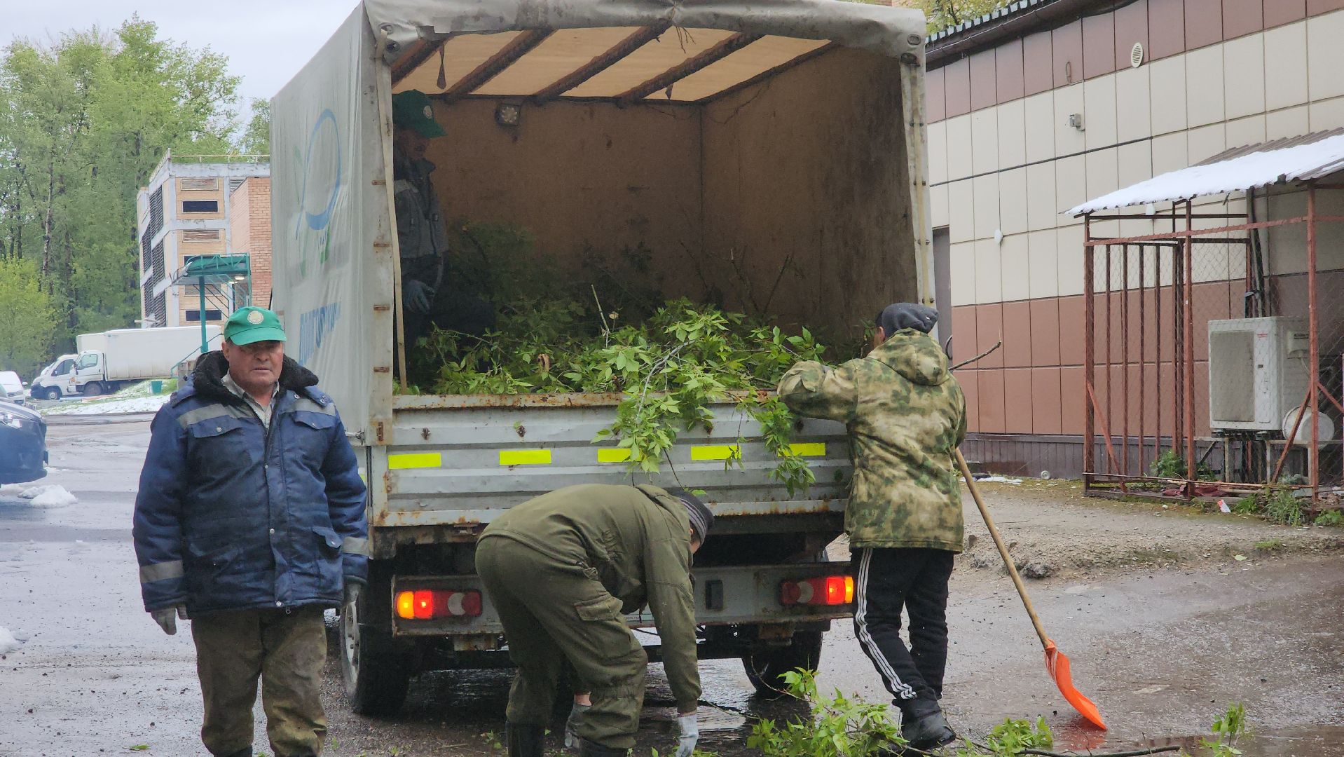 долгопрудный, снегопад, деревья, мбу благоустройство, первомайская,