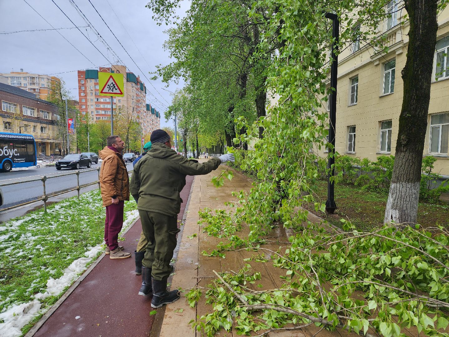 долгопрудный, снегопад, деревья, мбу благоустройство, первомайская,