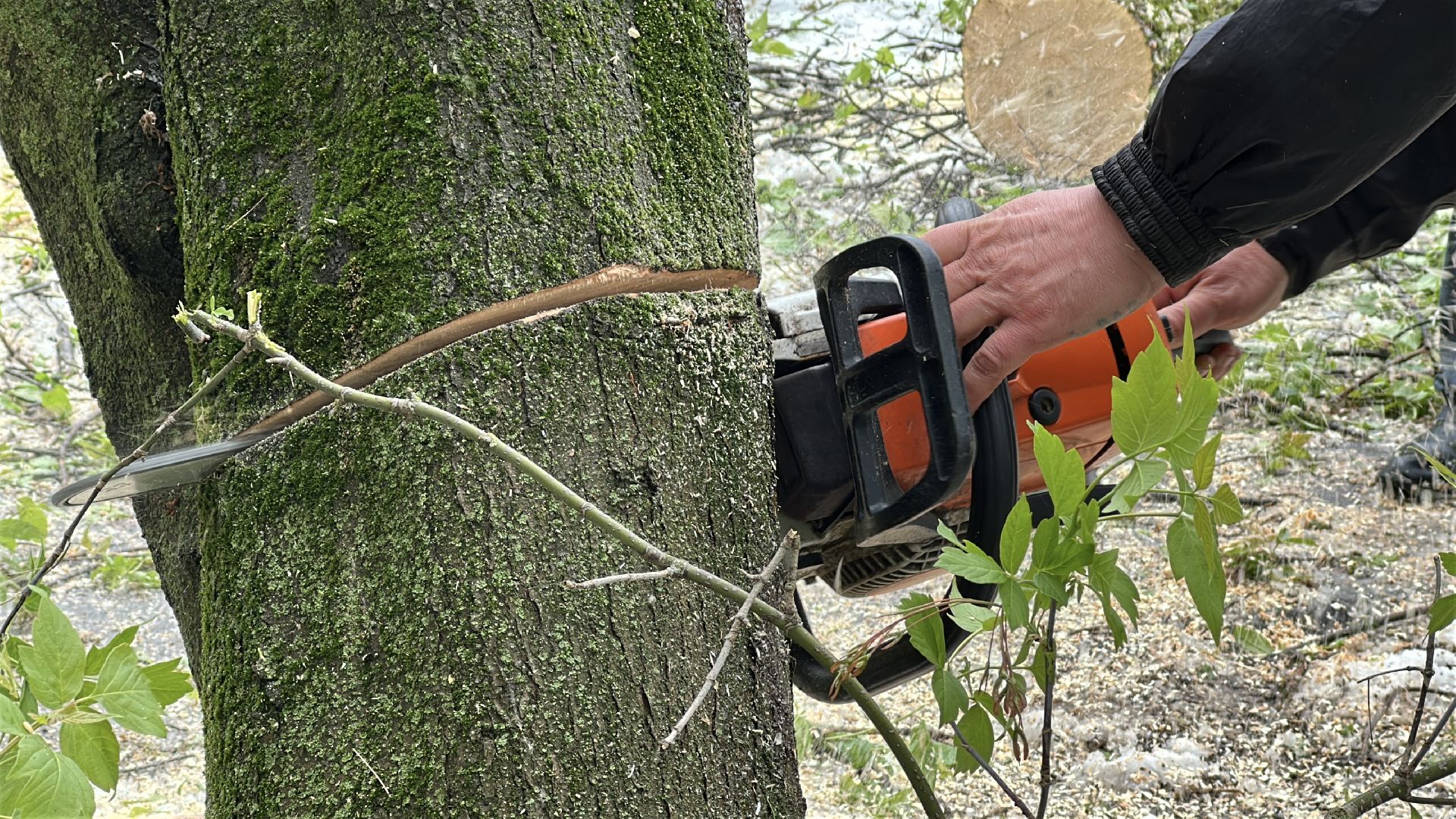 клин, общество, жкх, ликвидация последствий снегопада, чп,