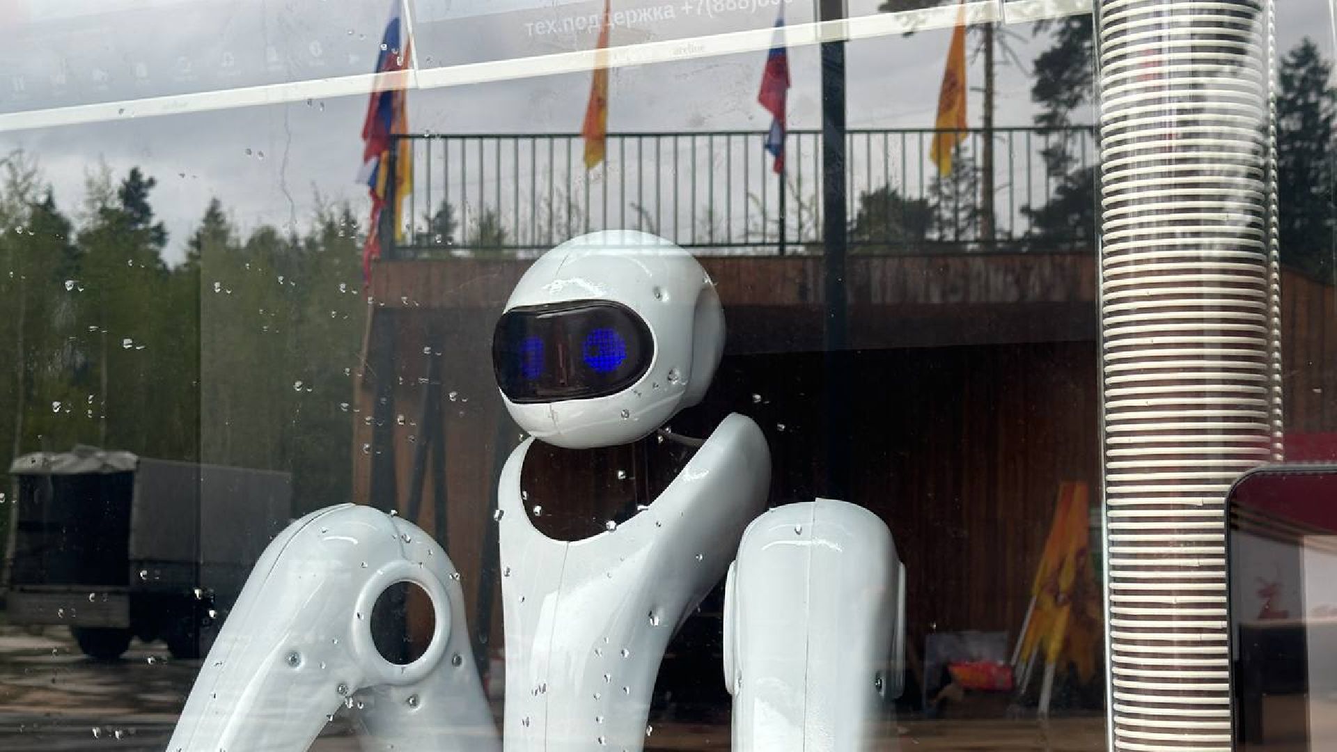 пестовский парк, робот, бариста, кафе,