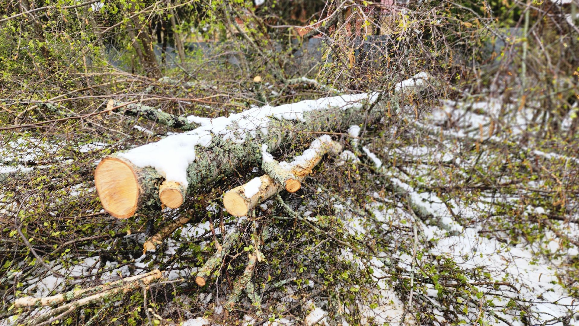 Руза, коммунальная служба, Благоустройство , Устранение последствий снегопада ,
