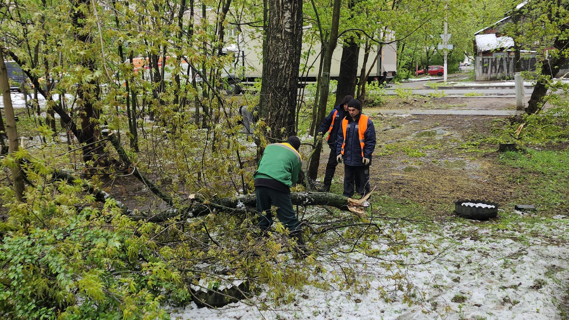 пушкино, ураган, упавшие деревья, коммунальные службы, устранение последствий урагана,