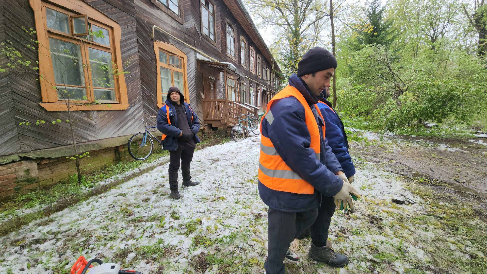 пушкино, ураган, упавшие деревья, коммунальные службы, устранение последствий урагана,