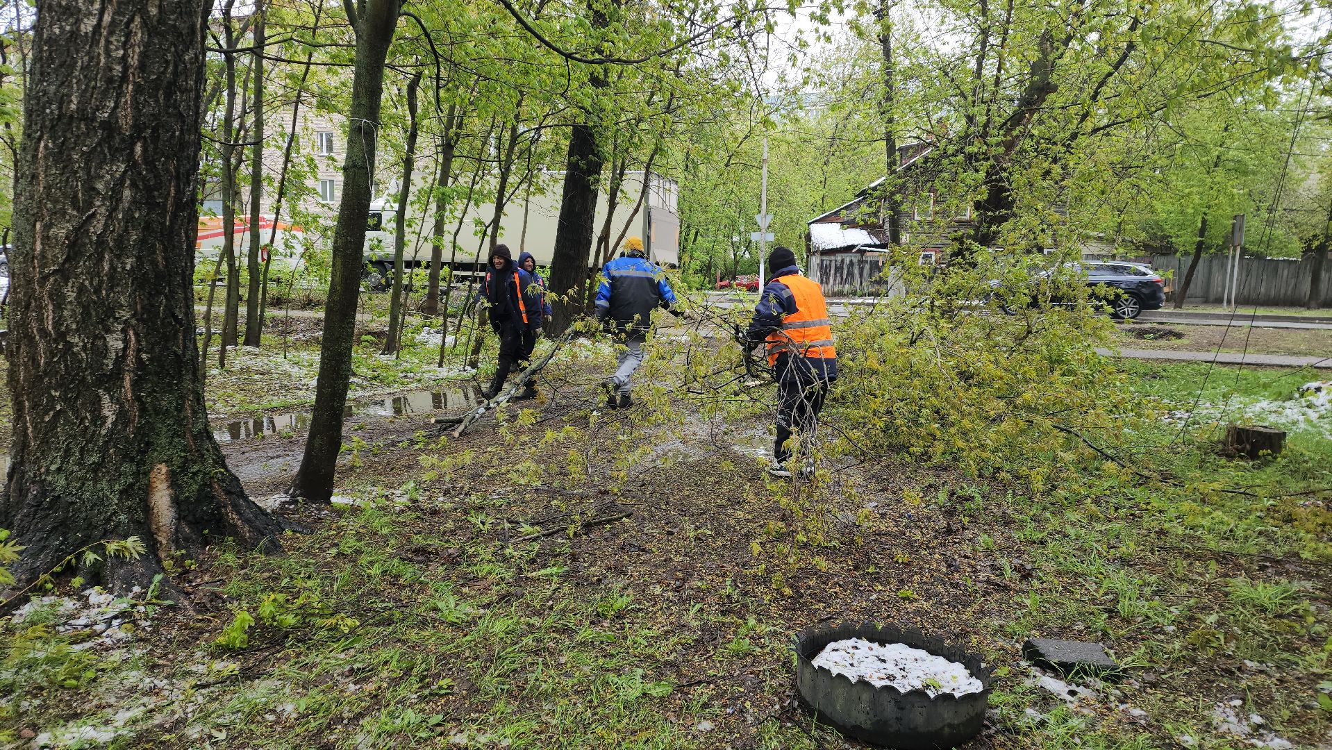 пушкино, ураган, упавшие деревья, коммунальные службы, устранение последствий урагана,