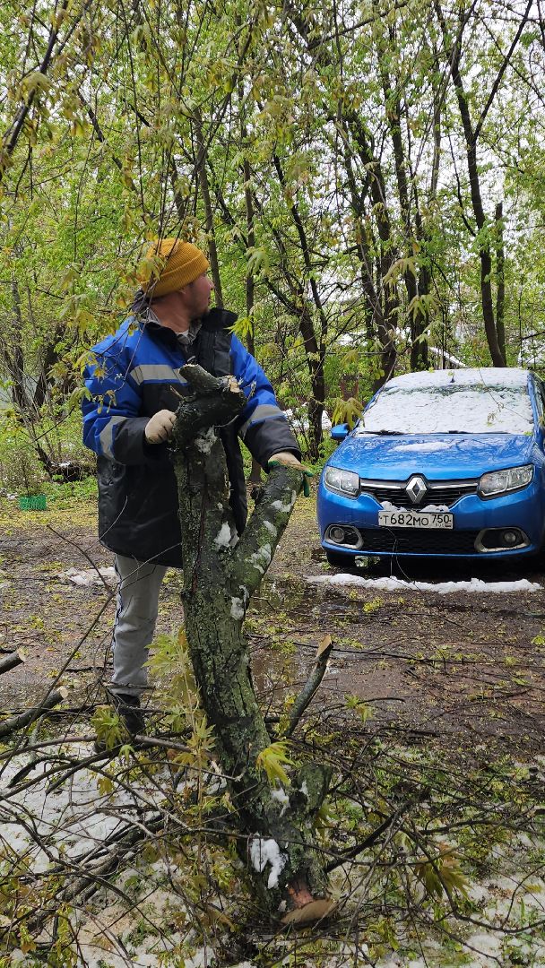 пушкино, ураган, упавшие деревья, коммунальные службы, устранение последствий урагана,