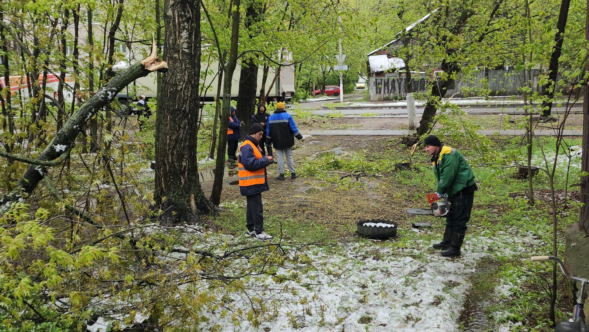 пушкино, ураган, упавшие деревья, коммунальные службы, устранение последствий урагана,