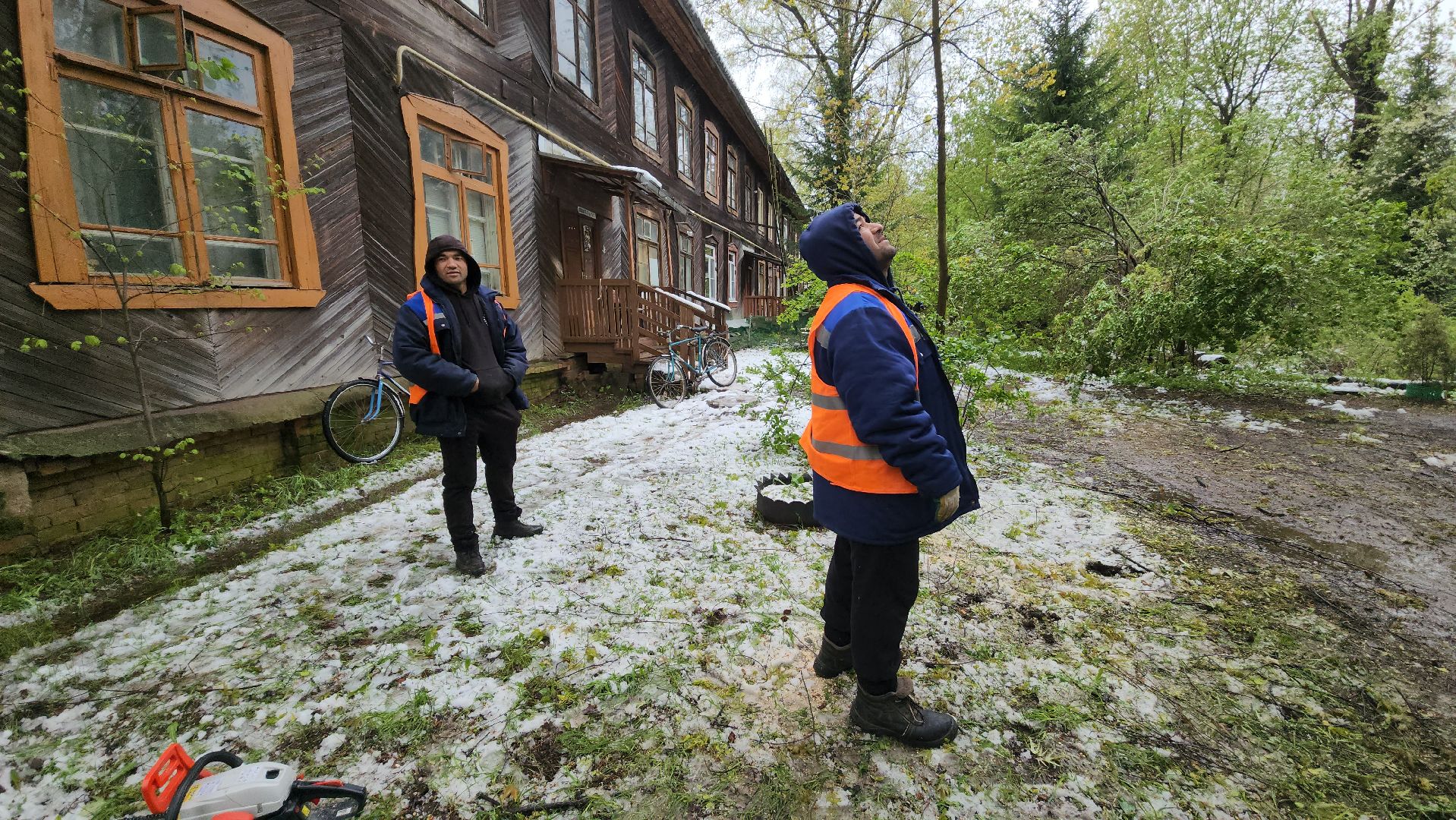 пушкино, ураган, упавшие деревья, коммунальные службы, устранение последствий урагана,