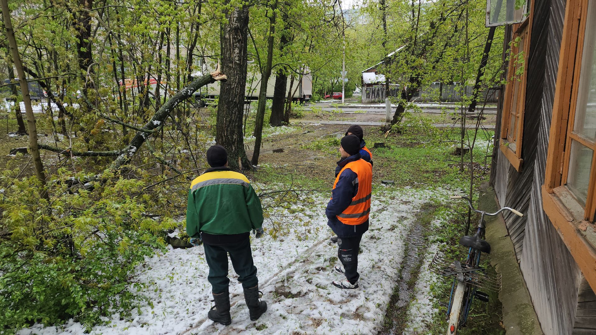 пушкино, ураган, упавшие деревья, коммунальные службы, устранение последствий урагана,