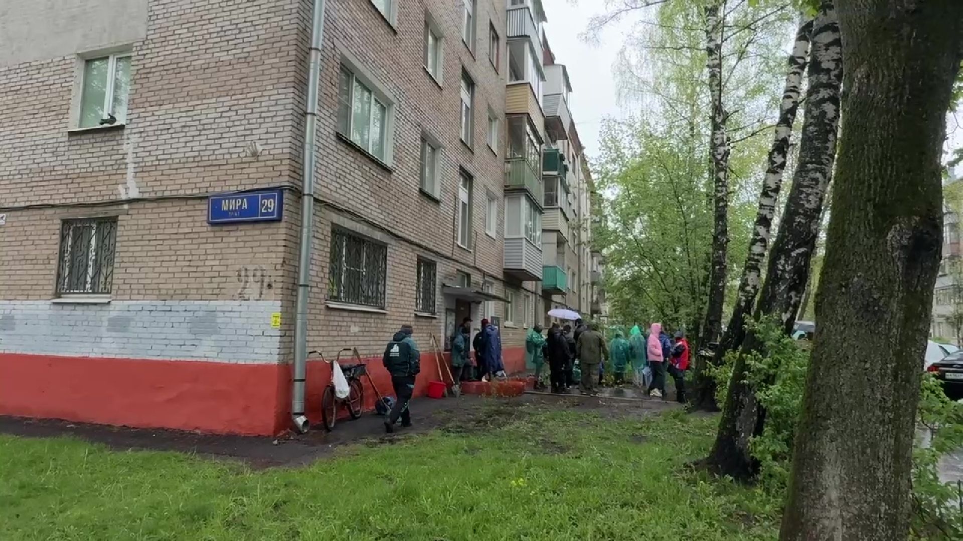 Реутов, цветы, палисадник победы, ветераны,