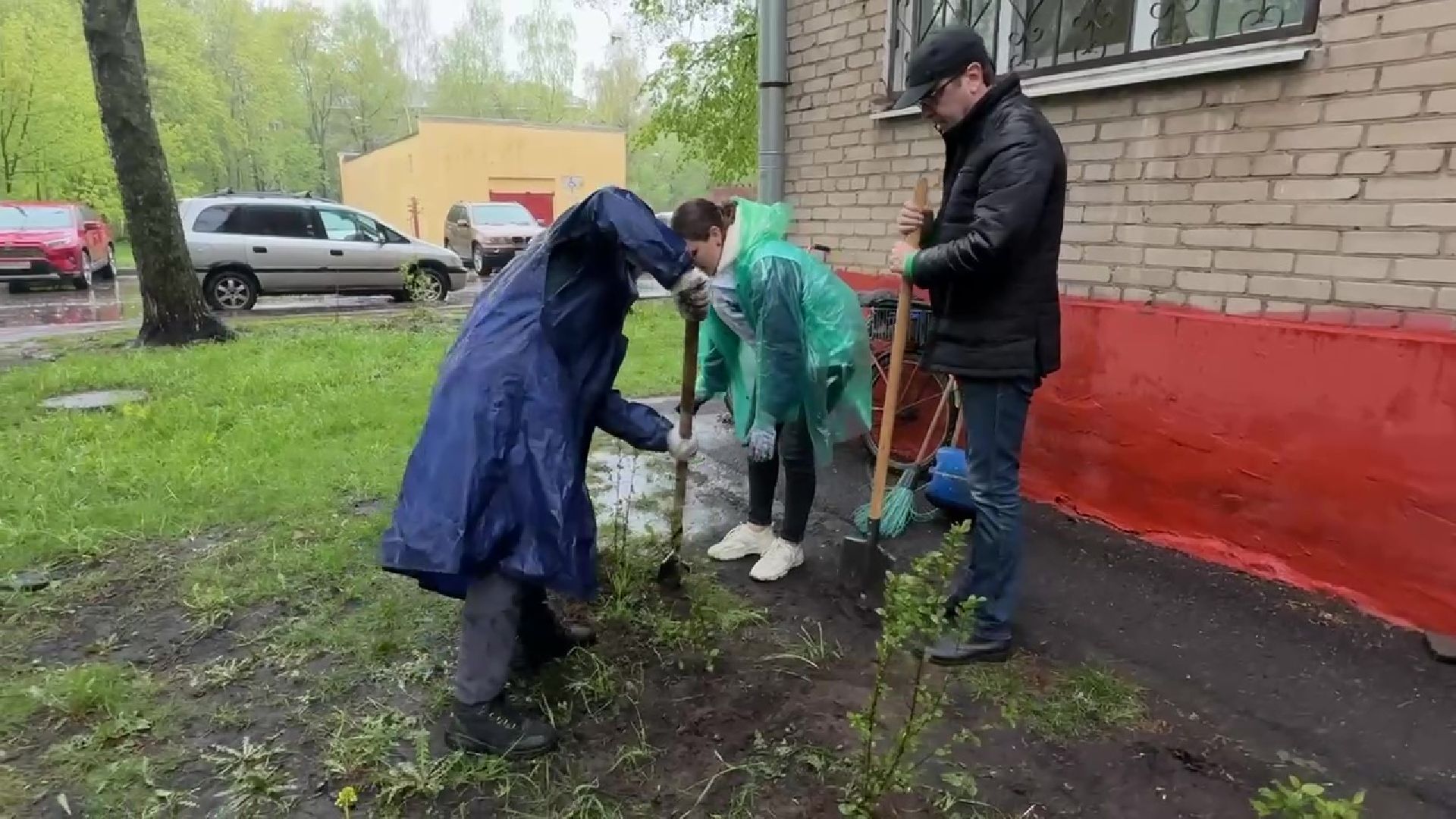 Реутов, цветы, палисадник победы, ветераны,