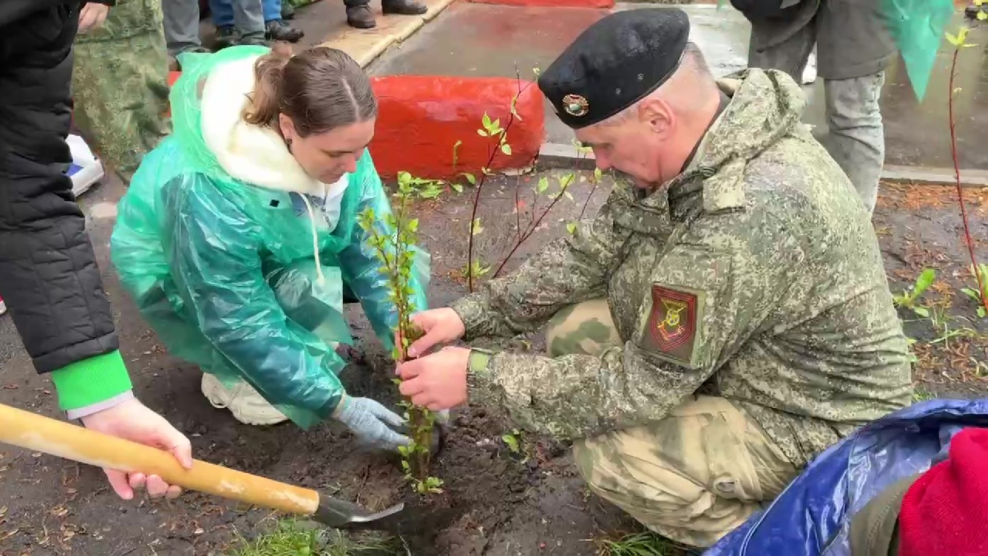 Реутов, цветы, палисадник победы, ветераны,