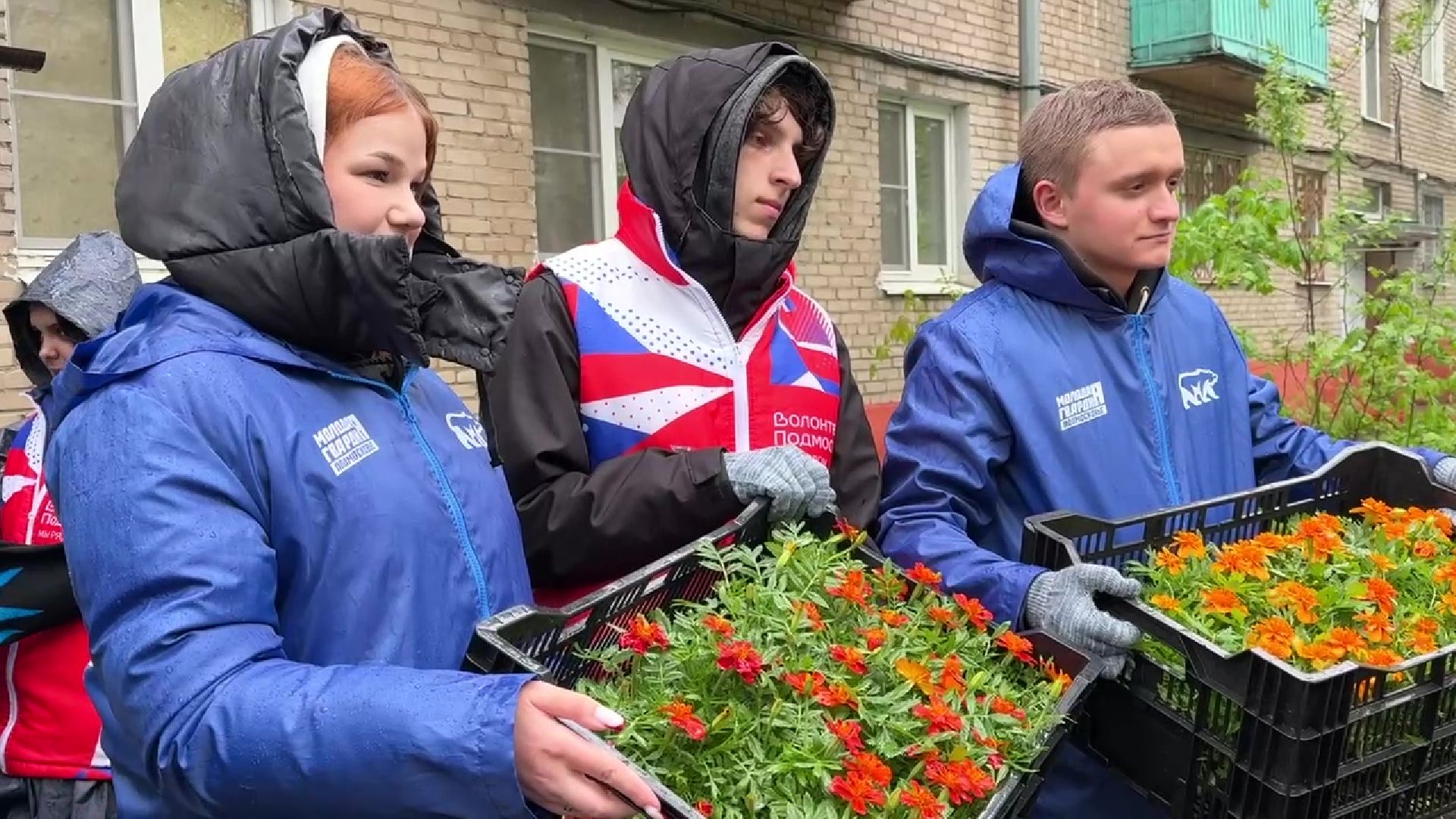 Реутов, цветы, палисадник победы, ветераны,