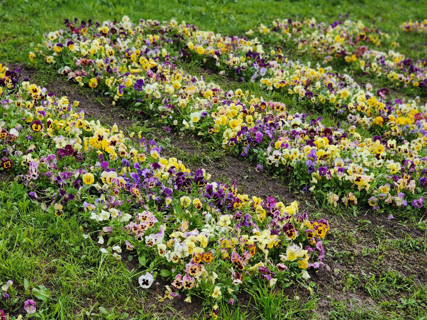 воскресенск, благоустройство , день победы,