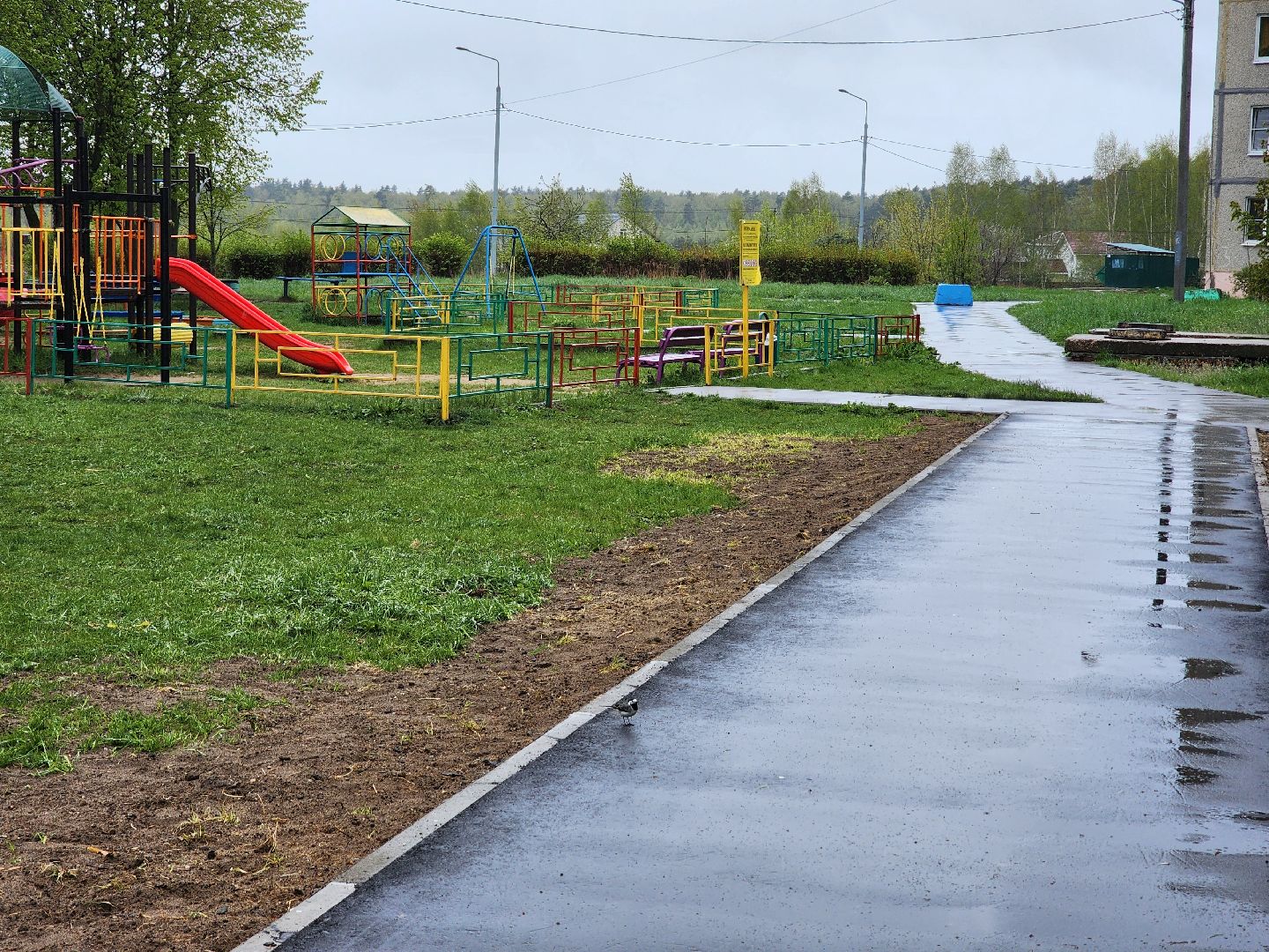 воскресенск, народные тропы, пешком,