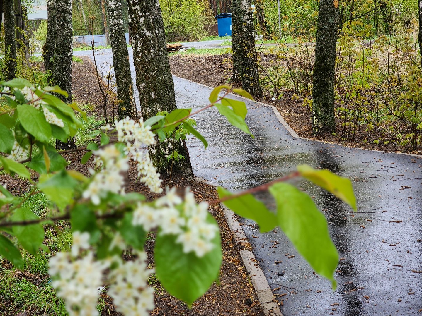 воскресенск, народные тропы, пешком,