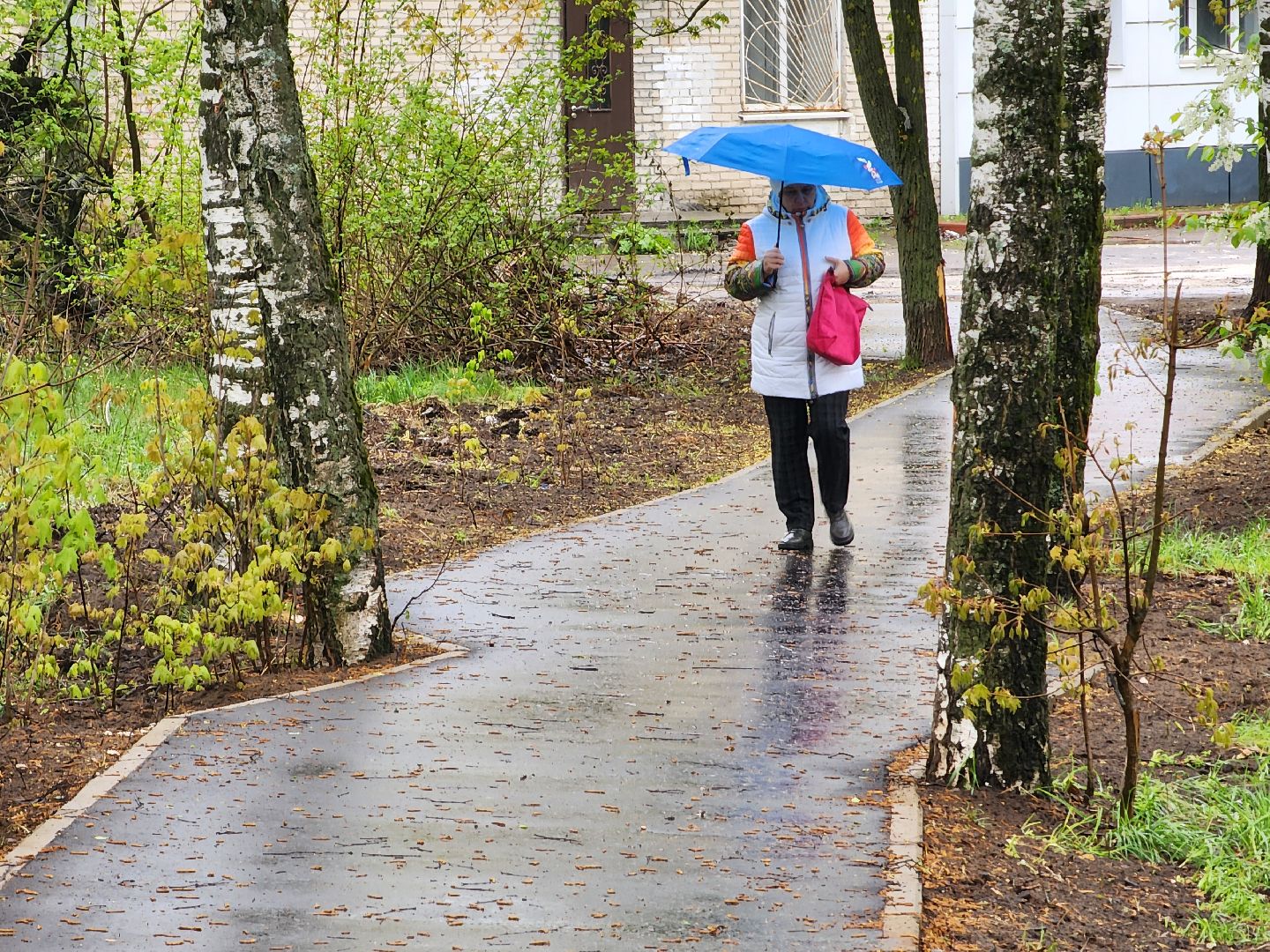 воскресенск, народные тропы, пешком,