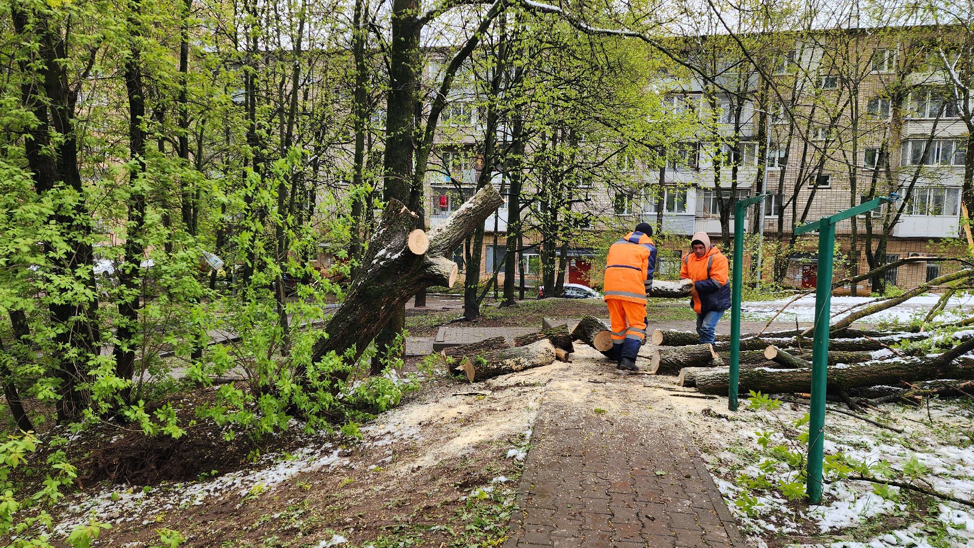 истра, благоустройство, коммунальная служба,