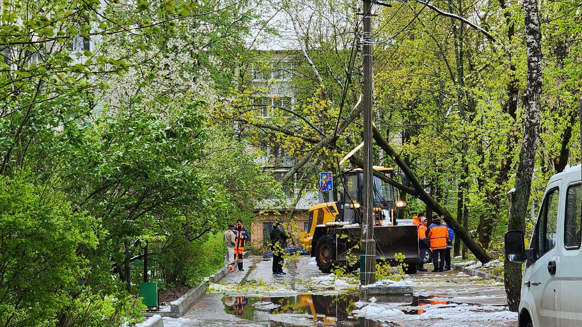 истра, благоустройство, коммунальная служба,