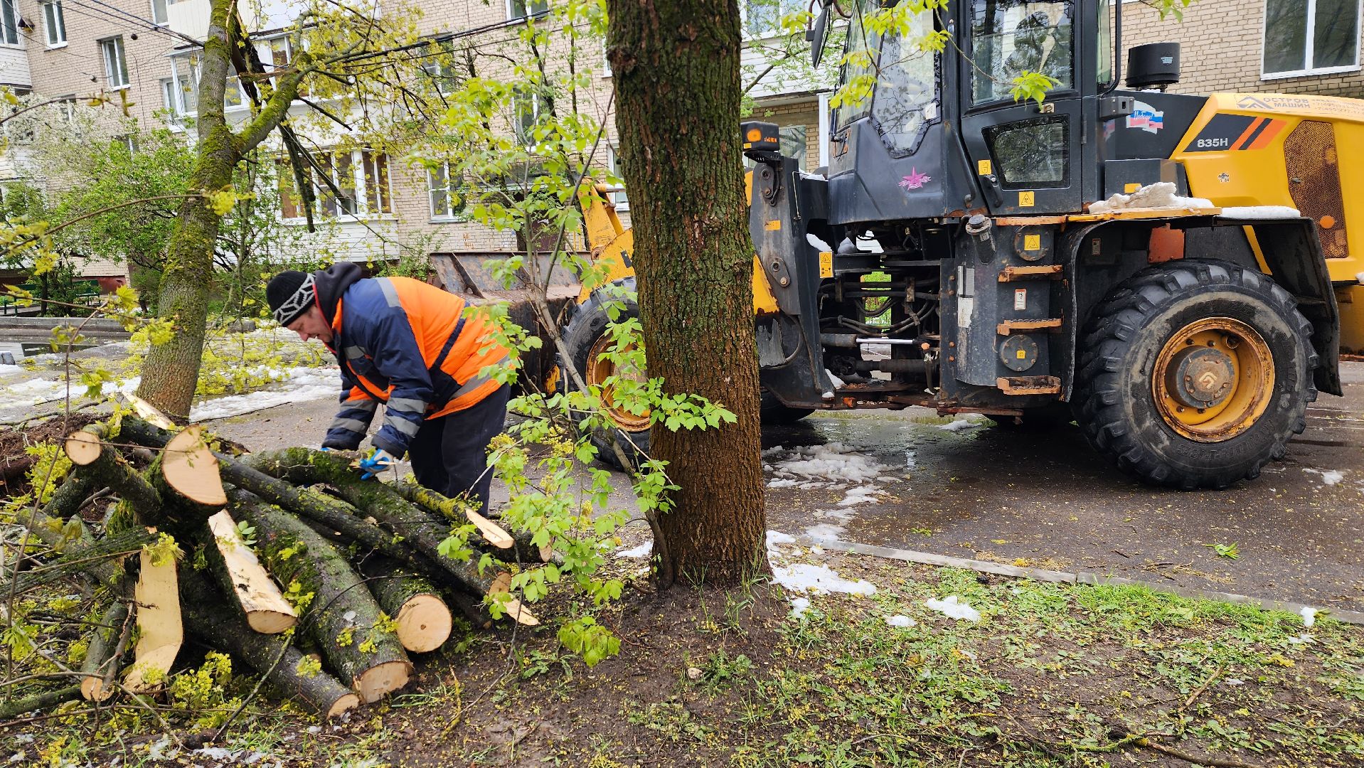 истра, благоустройство, коммунальная служба,